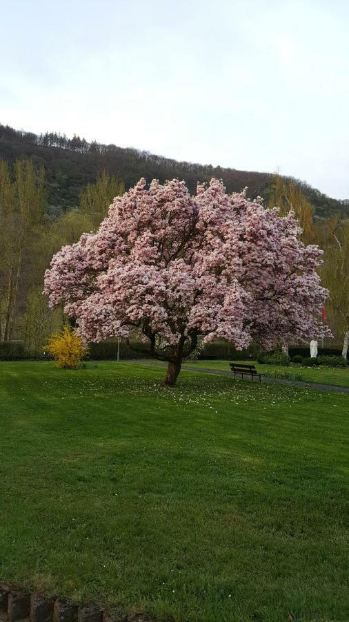 Ferienhaus Emil Cochem Dış mekan fotoğraf