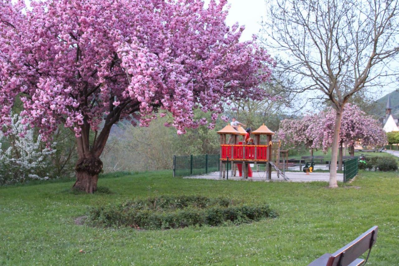Ferienhaus Emil Cochem Dış mekan fotoğraf
